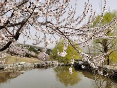 -北京西山国家森林公园