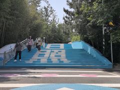 -日照海滨国家森林公园