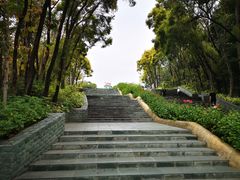 -深圳国际园林花卉博览园