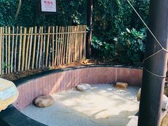 -威海天沐温泉度假区