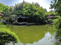 -汇龙潭