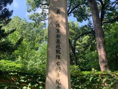 -灵谷景区