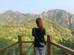 -大岭沟猕猴桃谷风景区