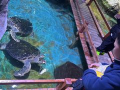 -台州海洋世界