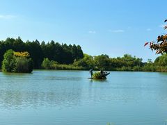 -苏州太湖国家湿地公园