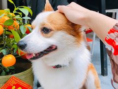 -小梁哥云吞面(黄贝岭店)