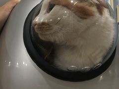 -宠颐生动物医院·小陆分院