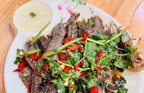 Marinated Mantis Shrimp