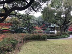-申粤轩酒楼·三十年粤菜经典(丁香花园店)