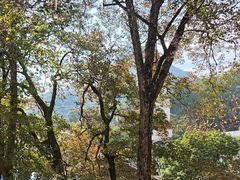 -莫干山风景区