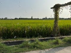 -嘉北郊野公园