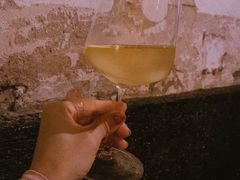 -毛辣果·酸(OHA复兴西路店)