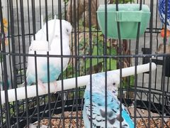 -丽江庭院之丽江往事(安定门店)
