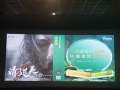 -AMG海上明珠影城(上海环球港RealDCinema店)