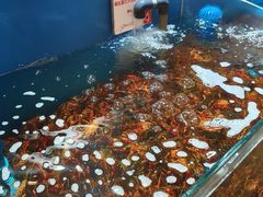 -鼎原力量东北吊炉烧烤(幸福街店)