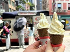 -富豪雪糕车流动点(尖沙咀店)