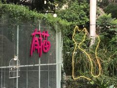 -有猫主题·治愈系猫咖(曾厝垵店)