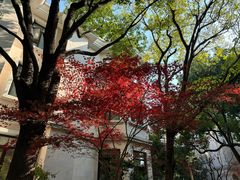 -张江润和国际总部园