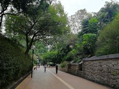 -九龙公园