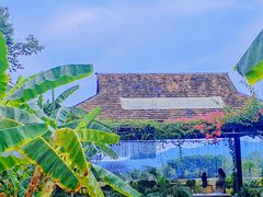-中国科学院西双版纳热带植物园