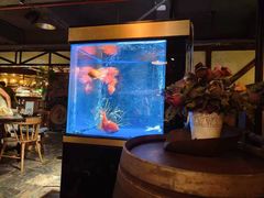 -C31地窖餐厅(黑龙江北路店)