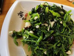 -途肴·老农饭庄(百里峡店)