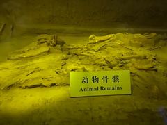 -汉景帝阳陵博物院
