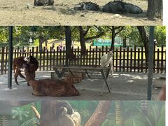 -西安秦岭野生动物园