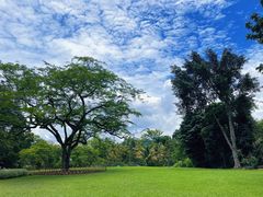 -中国科学院西双版纳热带植物园