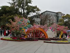 -南山植物园