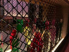 -COMMUNE幻师(上邦百汇城店)