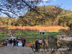 -广州市石门国家森林公园