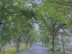 -鹅湖玫瑰文化园