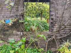 -中国科学院西双版纳热带植物园