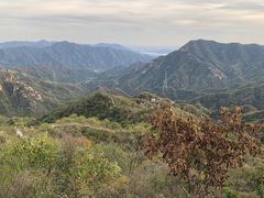 -大岭沟猕猴桃谷风景区