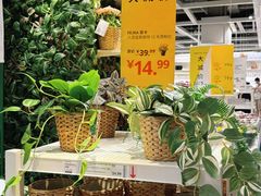 -宜家家居(高新商场店)