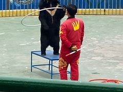 -五龙山野生动物王国