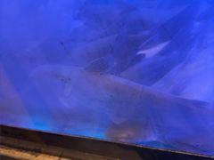 -鱼酷活鱼烤鱼(静安大融城店)