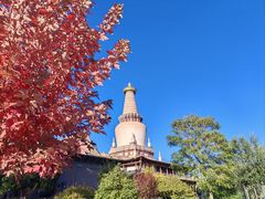 -张掖大佛寺景区