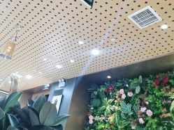 -木北造型
