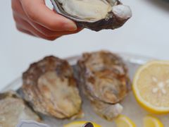 -斯普汇生蚝牛排馆(中骏世界城店)