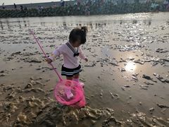 -南汇嘴观海公园