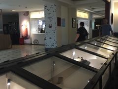 -1868 Café(上海自然博物馆店)