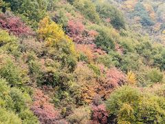 -少华山国家森林公园