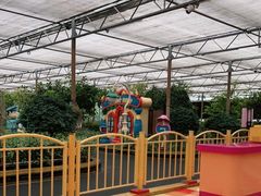 -南宫五洲植物乐园