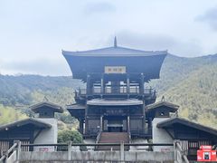 -大唐贡茶院