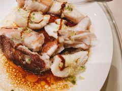 古法蒸石斑-利苑酒家(金宝店)