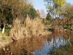 -西溪国家湿地公园