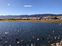 -青海湖国家重点风景名胜区售票处