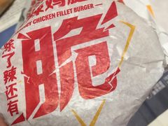 麦辣鸡腿汉堡-麦当劳(红旗路店)